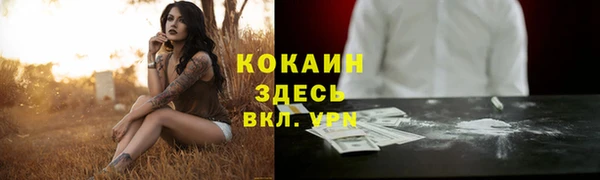 a pvp Горнозаводск