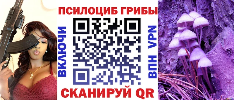 Галлюциногенные грибы Psilocybine cubensis  закладки  Северск 